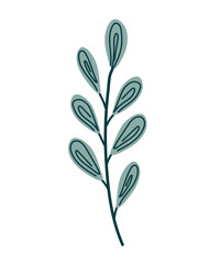 Hand drawn plant branch in boho style, green branch.