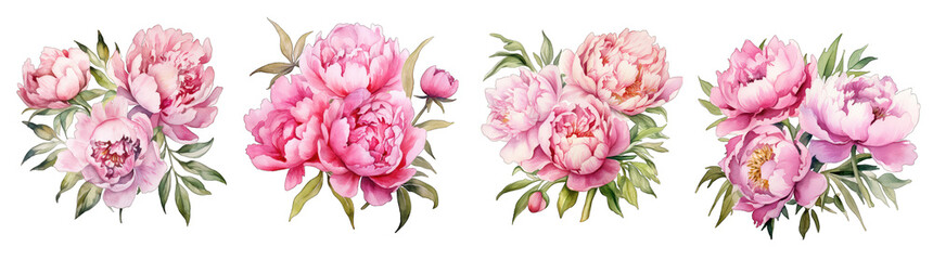 Pink rose flowers set collection PNG