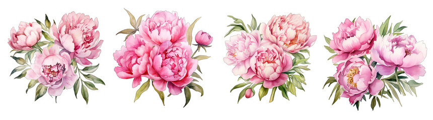 Fototapeta premium Pink rose flowers set collection PNG