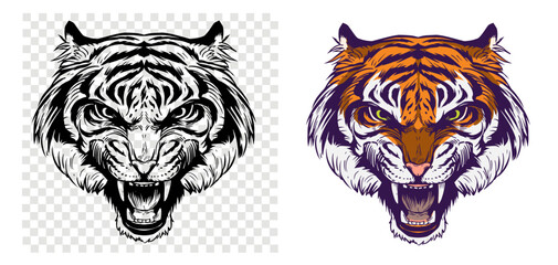 Growling tiger, realistic sketch, vector illustration, drawn by hand, black outline on a transparent background
