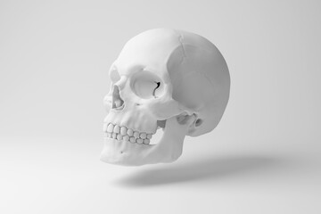 White human skull floating in mid air on white background in monochrome and minimalism. Illustration of the concept of anatomy, biology and archaeology