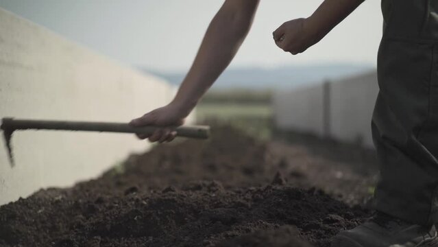 Farmer sowing seeds in soil fertilized by worms