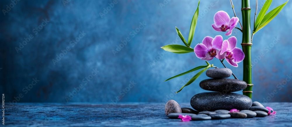 Canvas Prints Blue background still life featuring bamboo plant, orchid, and stones.