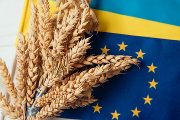 Export, sale, import of Ukrainian grain to the European Union concept. EU flag on grain. Food...