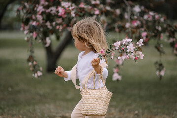 A little girl, a child in beige pants and a white blouse, with a basket on her shoulder, runs through the green grass with a twig in her hand. Pink blossoming apple tree on a blurred background