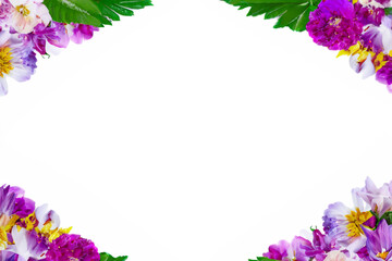 frame made of colorful flowers