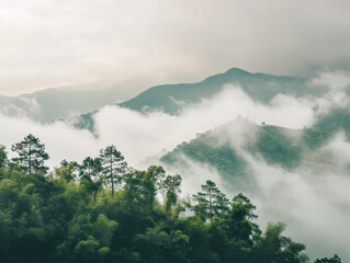 Beautiful misty mountains landscape in the morning. Nature background.