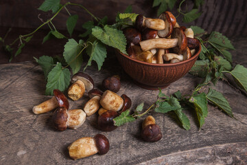 Pile of Imleria Badia or Boletus badius mushrooms commonly known as the bay bolete on vintage wooden background..