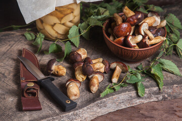 Pile of Imleria Badia or Boletus badius mushrooms commonly known as the bay bolete with canned mushroom in glass jar and knife on vintage wooden background..