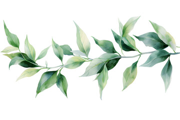 watercolor leaves illustration of branches on white background  - obrazy, fototapety, plakaty