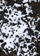 Obraz premium Snow and frost, early winter background. Snowy, cold and gloomy. It was snowing, the ground was covered with snow. Texture top view