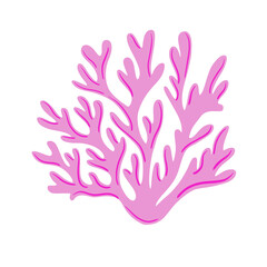 Coral