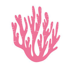 Fototapeta premium Coral