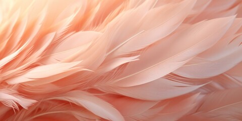 delicate light airy feathers of light peach color, banner, poster