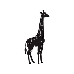 Giraffe vector silhouette