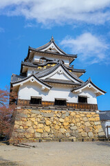 Beautiful full bloom cherry blossom at Hikone Castle in Shiga, Japan