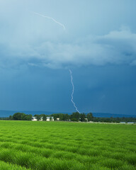 Thunderstorm around Valensole, in the South of France
