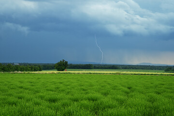 Thunderstorm around Valensole, in the South of France