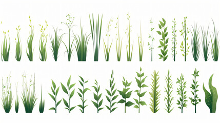 Different doodles of grass isolated on a white background.