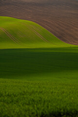 Scenic view of rolling fields near Kyjov at sunrise, Hodonin District, South Moravian Region, Moravia, Czech Republic
- 730956862
