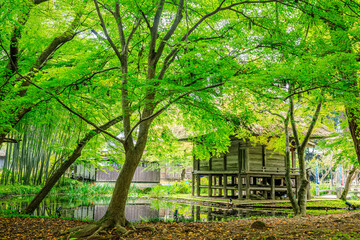 初秋の中尊寺　弁財天堂　岩手県平泉町　Chusonji Temple in early autumn. Iwate...
