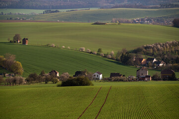 Spring rural landscape with  and village at background. Grape vineyards of South Moravia in Czech Republic.
- 730959864