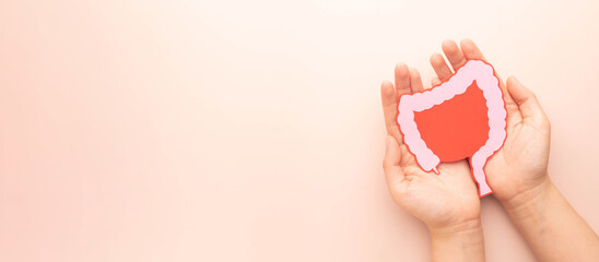 Hand holding large intestine organ made form paper on beige background. Concept of healthy bowel digestion, colon cancer screening, intestinal disease treatment or colorectal cancer awareness.