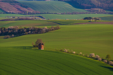 Gorgeous rural landscape with old windmill and green sunny spring hills. South Moravia region, Czech Republic
- 730960870