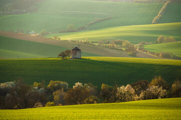 Old windmill on a hill in the rays of the sun at sunset, green fields, blooming trees. Spring rural landscape with an old mill and blooming trees. South Moravia. Czech Republic.
