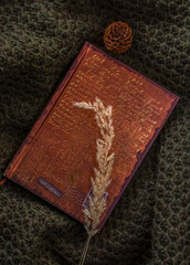 Fototapeta premium Old book, dried flowers, cones. Gloomy interior. Gothic accessories.