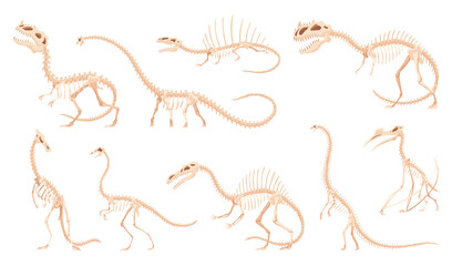 Dinosaur skeleton set. Dino monsters icons. Shape of real animals. Sketch of prehistoric reptiles.  illustration isolated on white. Hand drawn sketches © designer_things