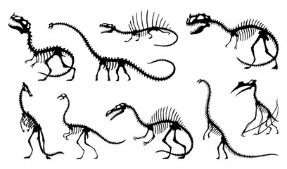 Dinosaur skeleton set. Dino monsters icons. Shape of real animals. Sketch of prehistoric reptiles.  illustration isolated on white. Hand drawn sketches
