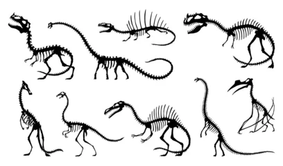 Photo sur Plexiglas Dinosaures Dinosaur skeleton set. Dino monsters icons. Shape of real animals. Sketch of prehistoric reptiles.  illustration isolated on white. Hand drawn sketches