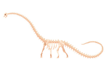 Dinosaur skeleton. Dino monsters icon. Shape of real animal. Sketch of prehistoric reptiles.  illustration isolated on white. Hand drawn sketch