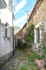 A narrow street in Castellabate, a medieval village on the coast of Campania, Italy..
