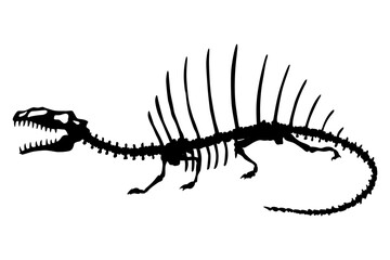 Dinosaur skeleton. Dino monsters icon. Shape of real animal. Sketch of prehistoric reptiles.  illustration isolated on white. Hand drawn sketch