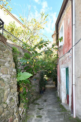 A narrow street in Castellabate, a medieval village on the coast of Campania, Italy..