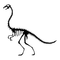 Dinosaur skeleton. Dino monsters icon. Shape of real animal. Sketch of prehistoric reptiles.  illustration isolated on white. Hand drawn sketch