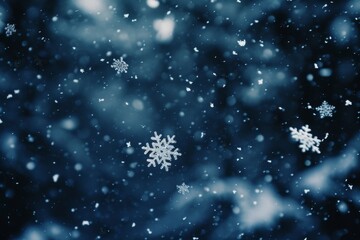 Fototapeta na wymiar Snowflakes falling silently against the backdrop of a dark night sky.