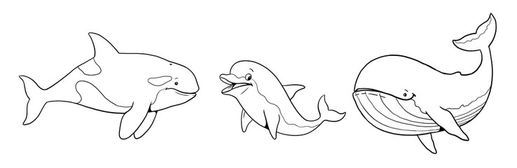 Cute orca, whale and dolphin to color in. Template for a coloring book with funny animals. Coloring template for kids.  © Lunstream