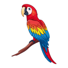 Naklejka premium Colorful Macaw Parrot, vector Illustration