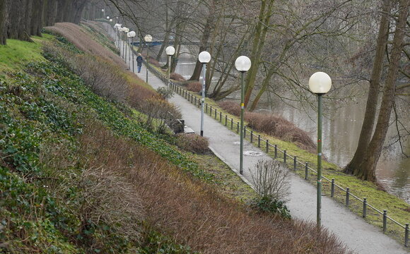 spring in the park
