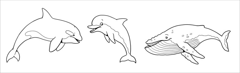 Cute orca, whale and dolphin to color in. Vector template for a coloring book with funny animals. Coloring template for kids.	