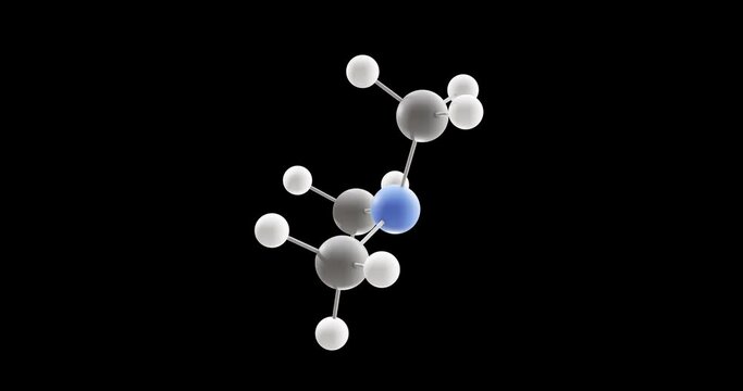 Trimethylamine molecule, rotating 3D model of trimethylated derivative of ammonia, looped video on a black background