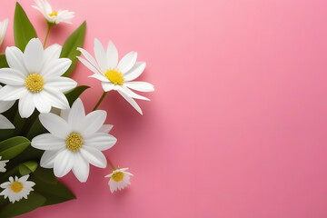 Chamomile bouquet on pink background. Spring and summer floral arrangement.