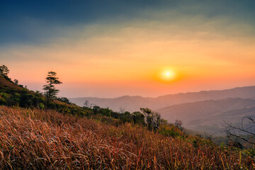 Sunrise over mountain in tropical rainforest at Phu Lom Lo, Phu Hin Rong Kla national park