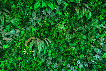 green leaf  background texture background