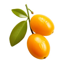 Kumquats isolated on transparent background