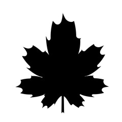 Black maple leaf. Leaf silhouette on isolated background.Vector illustration.