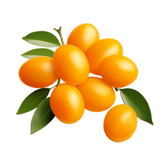 Kumquats isolated on transparent background